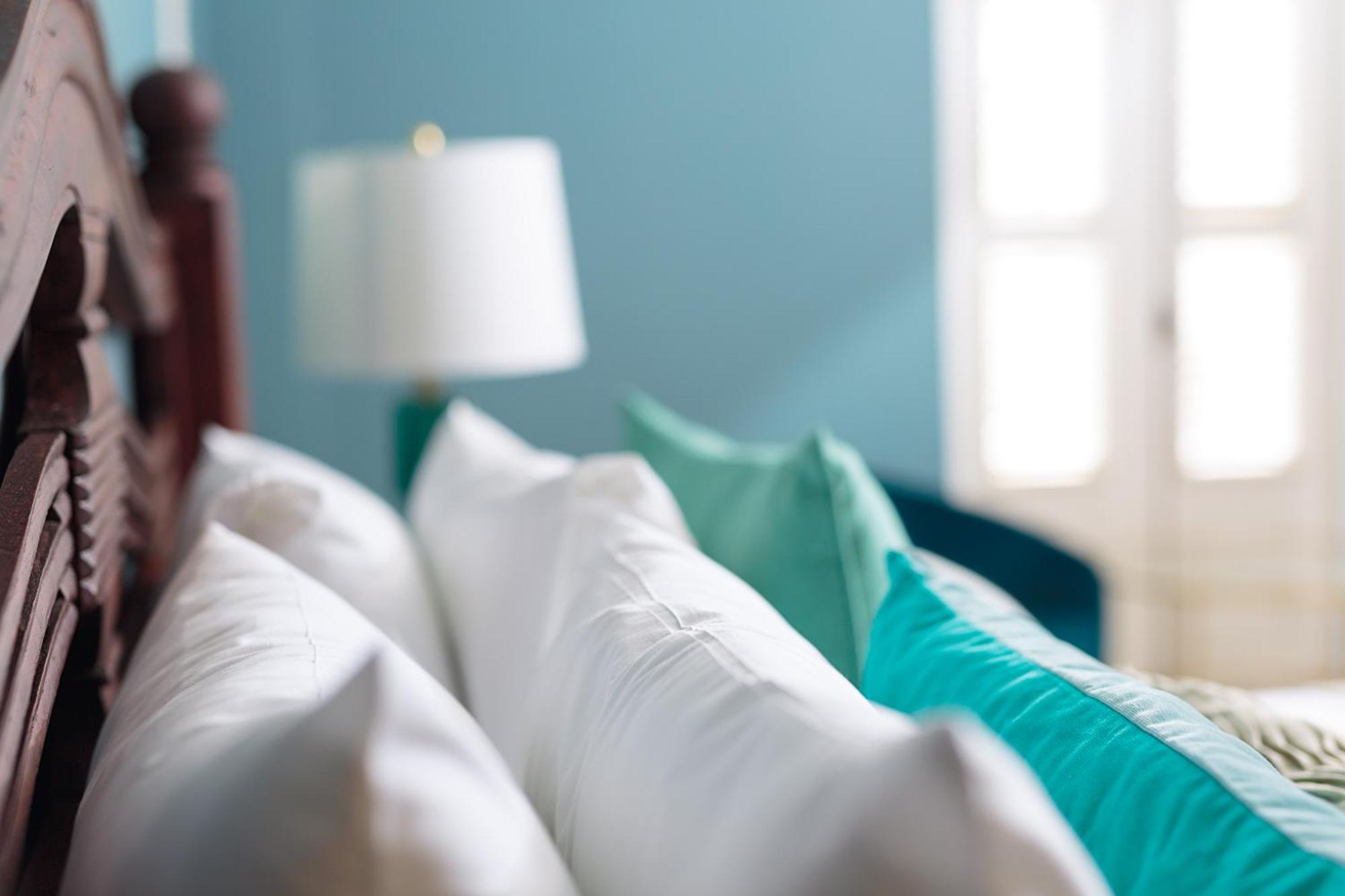 Kura Botanica Hotel 빌렘스타트 외부 사진