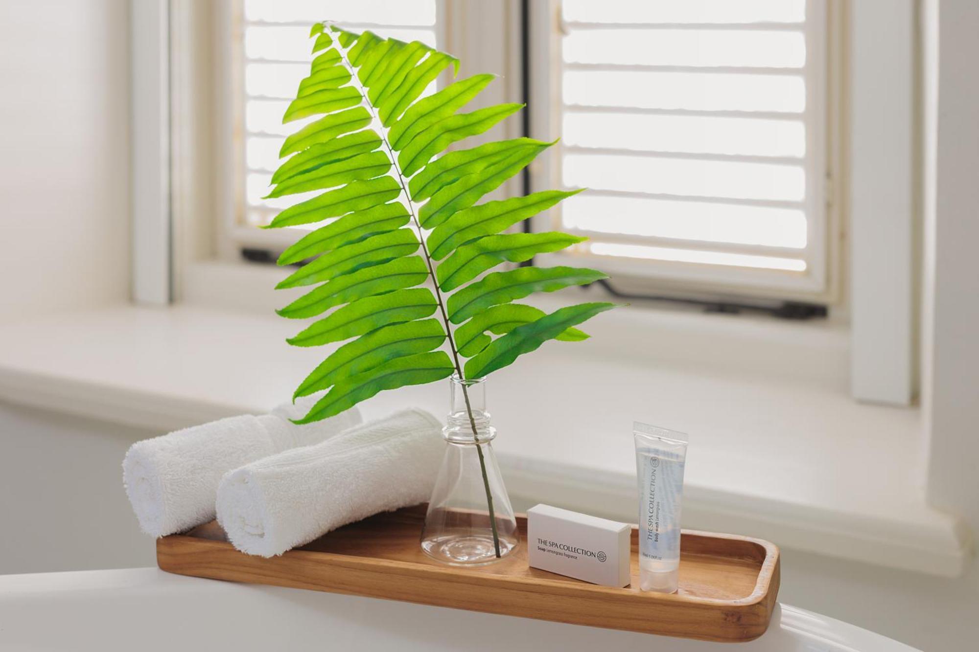 Kura Botanica Hotel 빌렘스타트 외부 사진